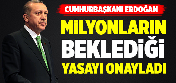 Torba yasaya onay!