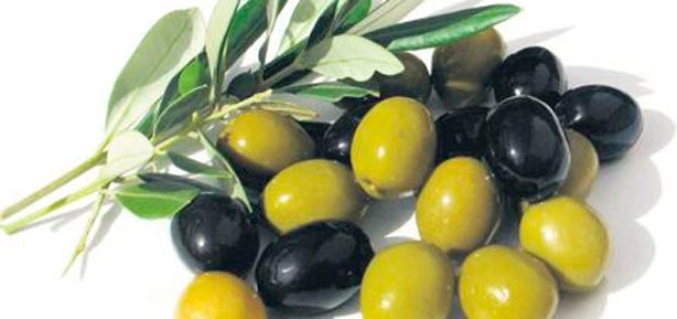 Zeytin ye zinde kal