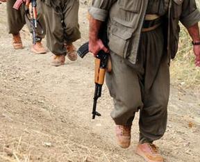 Şırnak'ta 9 terörist teslim oldu