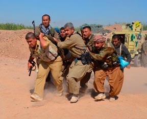 Bizi kimse yediremez