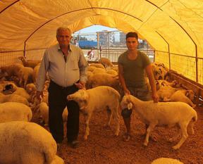 Yanlış kesime 169 lira ceza