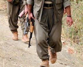 Hakkari'de 1 PKK'lı teslim oldu