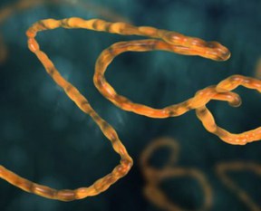 Ebola aşısının testleri başladı!