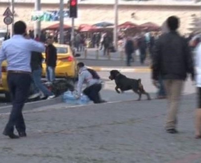 Taksim'de sopalı köpekli kavga