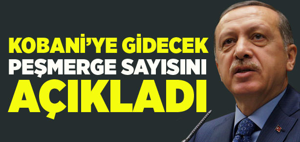 Kobani'ye gidecek peşmerge sayısı azaltıldı
