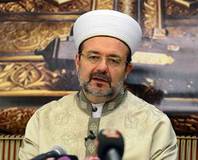 Görmez’den Validebağ Korusu açıklaması