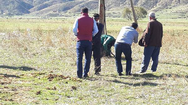 Direğe bağlayıp kurşuna dizdiler-1