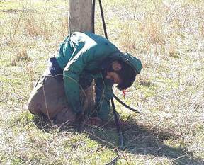 Direğe bağlayıp kurşuna dizdiler