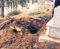 Bakanlık o ayı için 'vur' emri çıkarttı-1