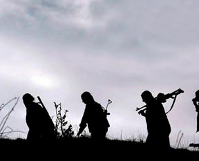 Bir PKK'lı daha öldürüldü