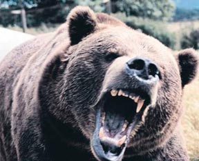 İnanılmaz kurtuluş