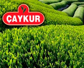 Çaykur ödedi