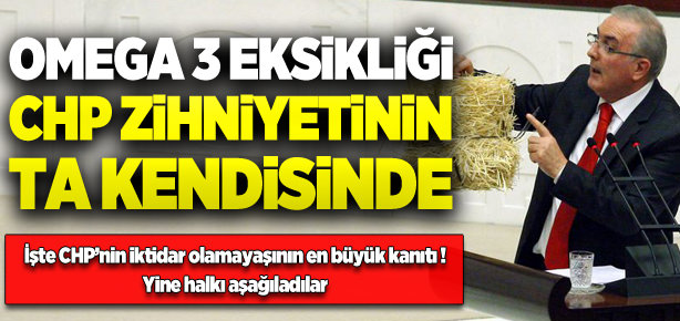 CHP'li Öğüt'ten millete hakaret