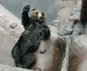 Paylaşım rekorları kıran ayı!