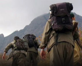 Şırnak ve Hakkari'de 9 terörist teslim oldu