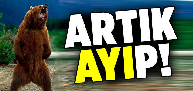 Artık ayıp