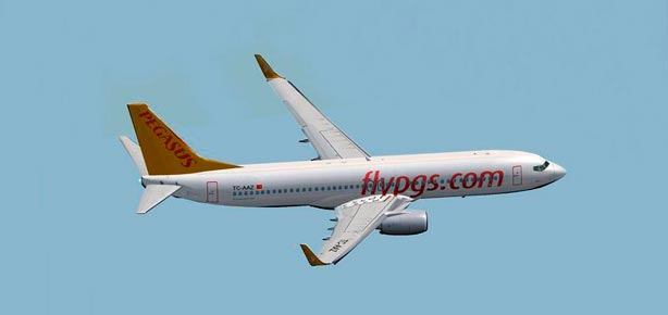 Pegasus'a ceza
