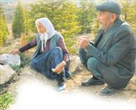 Dişe diş mücadele