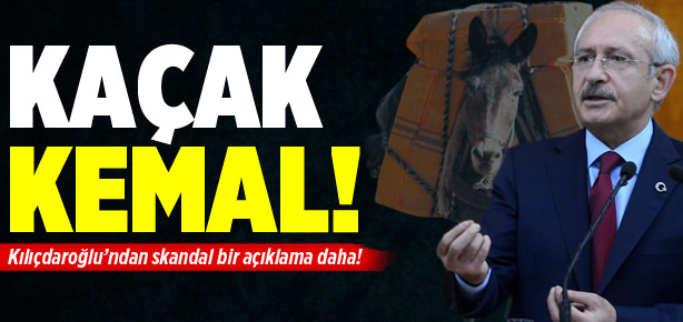 Kaçağa teşvik
