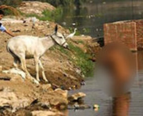 Bu adam tıklanma rekoru kırdı