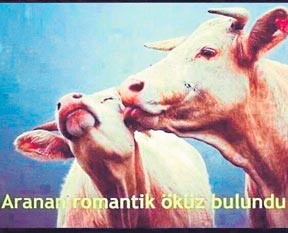 Eski sevgililerin ortak özellikleri