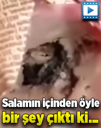 Salamdan fare çıktı!