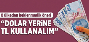 Dolar yerine TL önerisi