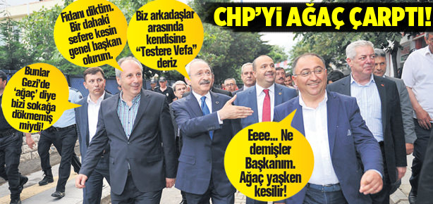 CHP'yi ağaç çarptı!