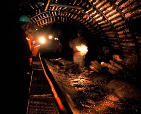 294 maden için ihale