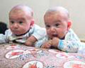 Aile saadetini Şahin kurtardı