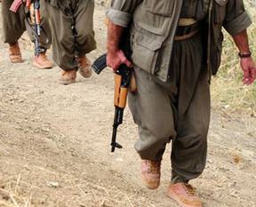 Şırnak'ta 9 terörist teslim oldu