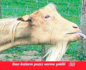 Kaç yıl oldu