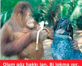 Yeni başlayanlar için fakirlik