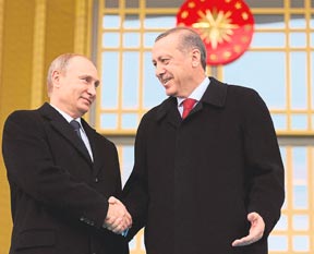 Sağlam dost