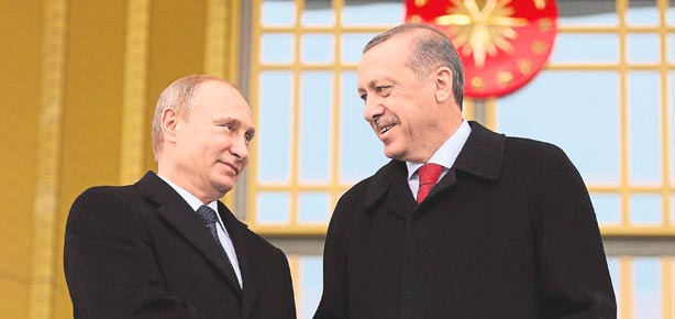 Sağlam dost