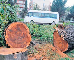 Yine CHP yine katliam