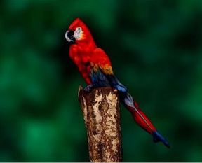 Şoke olacaksınız!