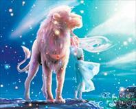 Aslanlara nikah yolu