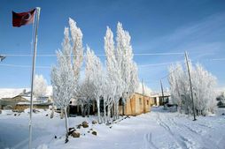 Van'da aşırı soğuklar bayrağı dondurdu