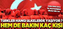 Hangi ülkede kaç Türk yaşıyor?