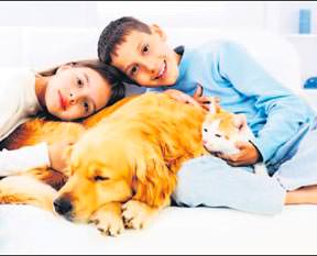 Otizme karşı evcil hayvan