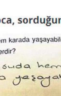 Sınavlardaki efsane cevaplar