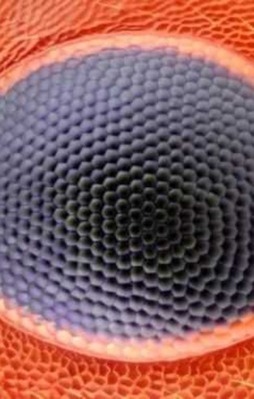 İnanamayacaksınız!