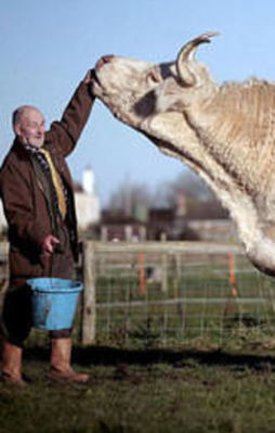 Görenler şoke oluyor!