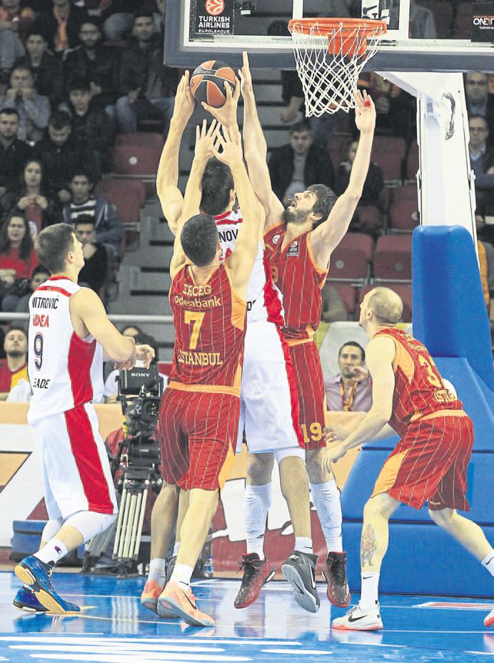 Potada zeytin dalı!