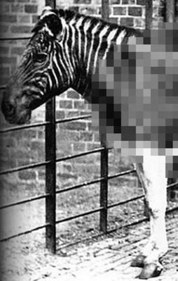 İşte canlı çekilmiş tek fotoğraf!