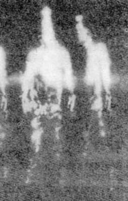 Cinler nasıl bir görünüme sahiptirler