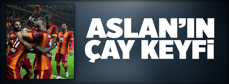 Aslan’ın çay keyfi