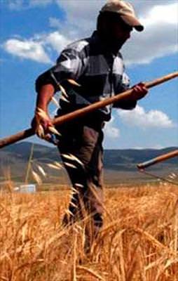 Çiftçiye 6.5 milyar TL kredi verilecek