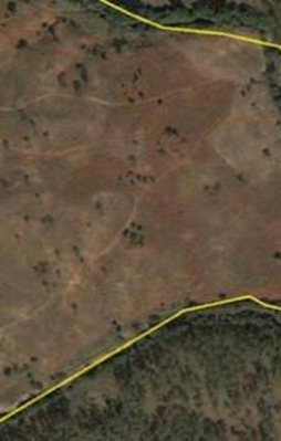 Ülkeler hakkında en çarpıcı bilgiler